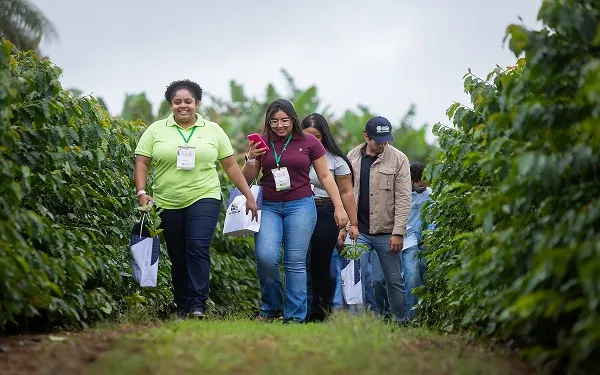 Fundação Procafé apresenta novas tecnologias de café em Dias de Campo