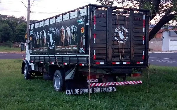 Polícia procura por ladrões que furtaram 11 bois de rodeio em fazenda