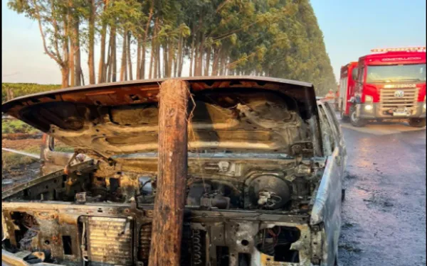 Curto-circuito carboniza caminhonete em rodovia de Altinópolis