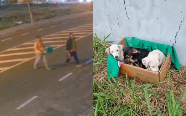 Dupla é flagrada abandonando filhotes de cachorro em terreno