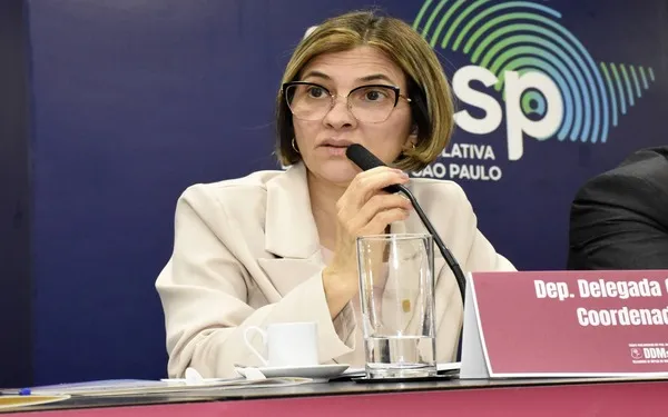 Deputada Graciela pede ao governo que torne DDMs unidades de 1ª Classe