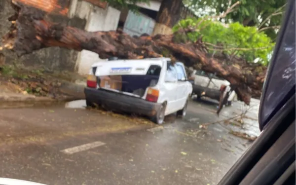 Chuva e vento forte castigam Franca