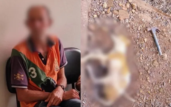 Homem é preso após matar cachorro filhote a marteladas