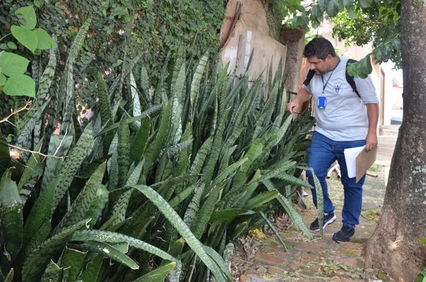 Municípios realizam o Dia D de Mobilização Contra a Dengue