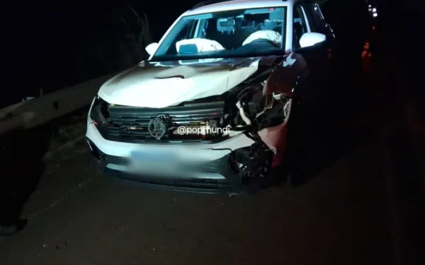 Motorista atropela bezerro na rodovia Prefeito Fábio Talarico
