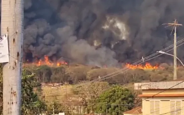 Incêndio de grande proporção em canaviais assusta moradores de Igarapava