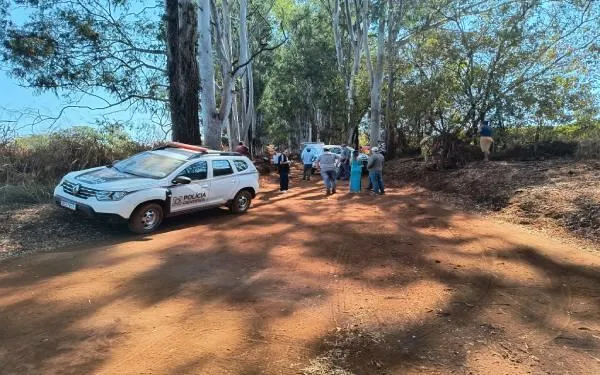 Trabalhador morre após ser atingido na cabeça por eucalipto em fazenda; assista