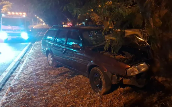 Motorista bate carro em árvore na avenida Jaime Tellini