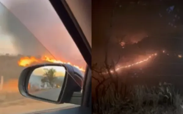 Incêndio de grandes proporções atinge área de vegetação em Claraval (MG)