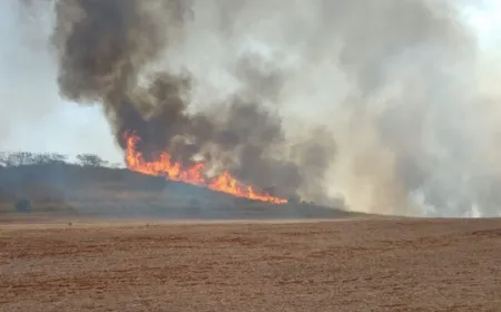 Polícia Federal investiga as causas dos incêndios