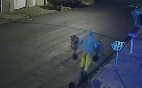 Imagem de uma câmera de segurança durante a madrugada. Um homem, usando jaqueta clara com capuz e calça amarela, aparece andando pela rua carregando duas pequenas árvores recém-plantadas, uma em cada mão. A cena foi registrada em uma via residencial pouco iluminada.