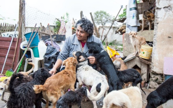 Mulher de cabelos grisalhos sorri enquanto interage com vários cachorros de diferentes cores e portes em um quintal simples e desorganizado. Há objetos espalhados, cadeiras velhas e casinhas improvisadas para os animais
