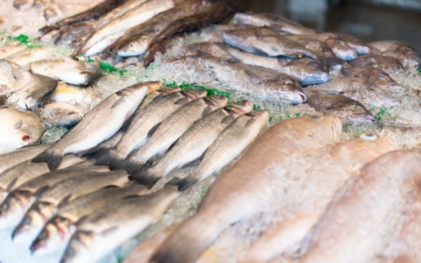 Peixe