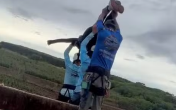 Justiça nega absolvição e mantém prisão de quatro réus por morte de jovem em salto de rope jump