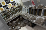 Polícia faz apreensão milionária de maconha e prende homem de 44 anos
