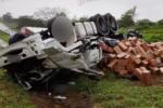 Queda de árvore provoca capotamento de carreta e mata motorista em rodovia