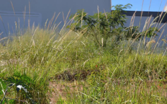 Foto: Prefeitura de Franca